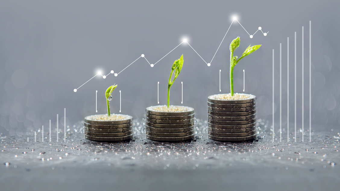 WCEF BIC webinar investing in the circular bioeconomy