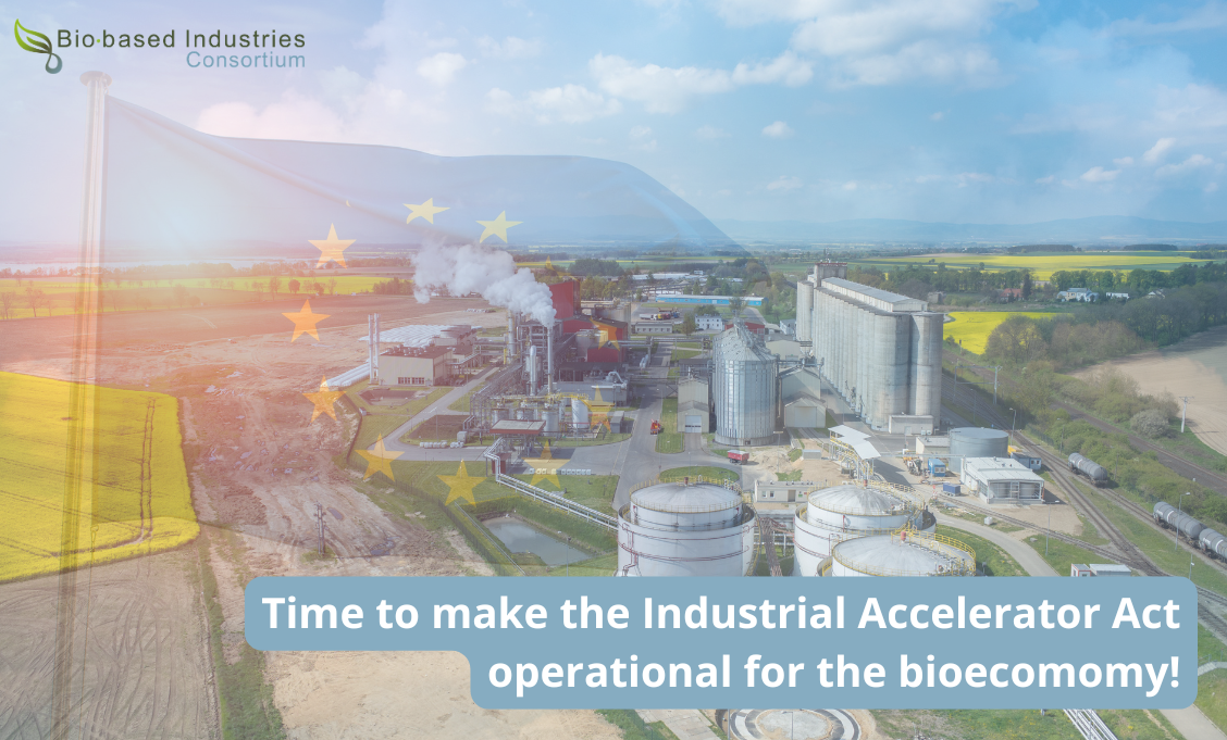 Sustainable biorefinery