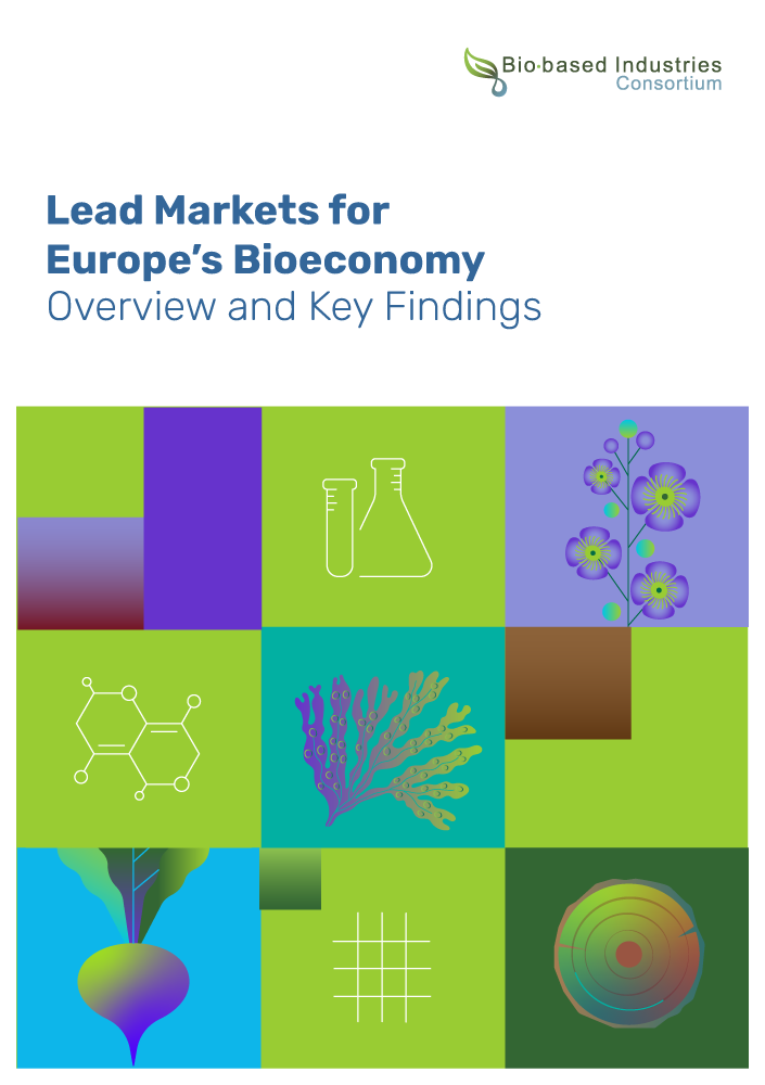 BIC Report on Lead Markets: Overview and Key Findings