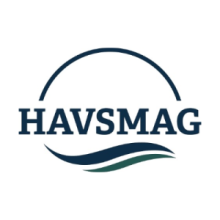 Havsmag 