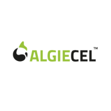 Algiecel 