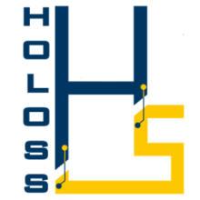 Holoss - Holistic and ontological solutions for sustainability