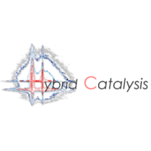 Hybrid Catalysis