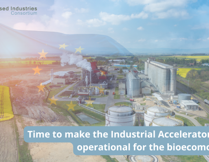 Sustainable biorefinery